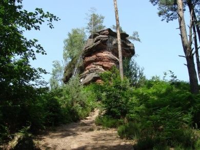 Biosphärenreservat Pfälzerwald-Vosges du Nord
