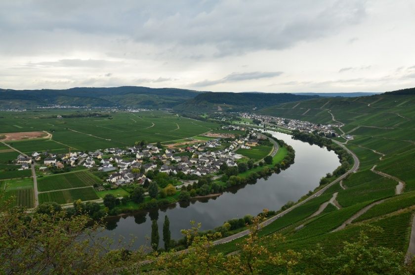 Köwericher Weinfrühling
