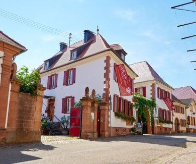 Weingut Seitz-Schreiner & Ferienwohnung - Südliche Weinstraße