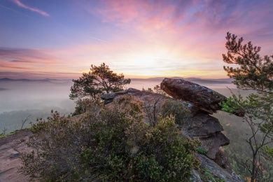 Hotels, Campingplätze und Ferienwohnungen in der Pfalz