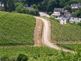 Weinstube Zur Laube Peter Terges in Trier - Mosel - Weingut Weinstube Zur Laube Peter Terges in Trier - Mosel - Weingut