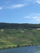 Ferienwohnung Riesling im Gästehaus Heidi an der Mosel