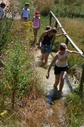 Höhenhof * Urlaub auf dem Bauernhof * Erlebnisbauernhof * 