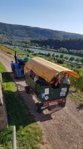 Gästehaus und Weingut Erich Serwazi