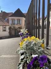 St. Martin -1801- Ferienwohnungen