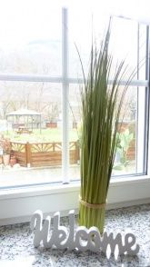 Ferienappartments Neumann