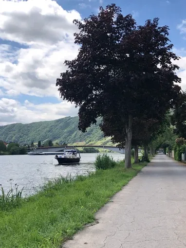 Ferienwohnung Moseldiamant