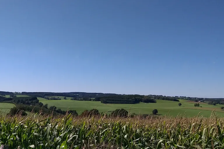 Appartement Igel im Haus Eifelstein