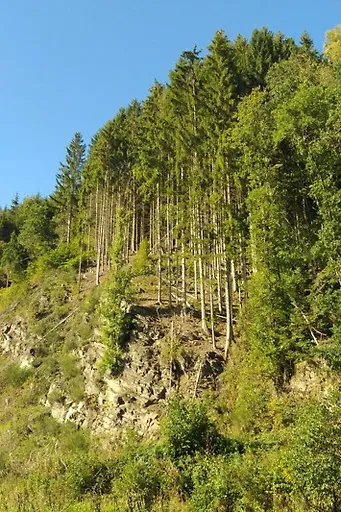 Appartement Eichhörnchen im Haus Eifelstein