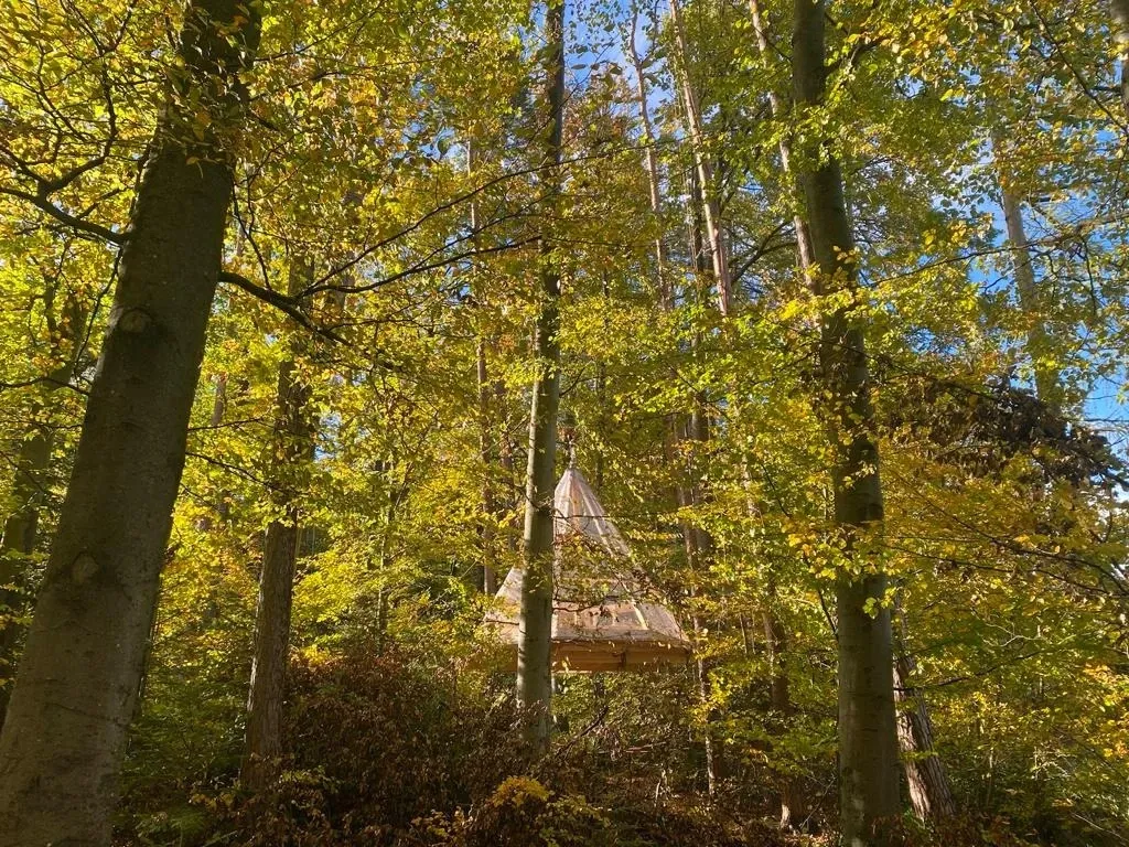 Baumhaus Birkenfeld Schwarzwaldverein
