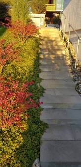 Ferienwohnung Régine