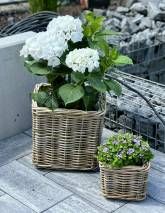 FeWo Familie Pflüger