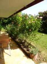 Ferienwohnung Raunecker