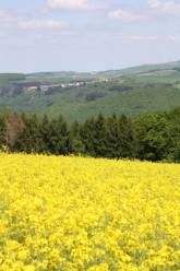 Hotel & Restaurant Reckweilerhof