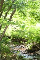 Hotel & Restaurant Reckweilerhof