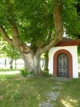 Ferienwohnung Raunecker