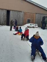 Ferienwohnungen Waldmann