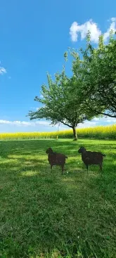 Ferienhaus Kurt - Kurt’s Heisje