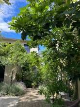 Boutique-Guesthouse Jugendstil-Hof