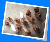 Ferienwohnung Obsthof Häberle