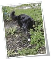 Ferienwohnung Obsthof Häberle