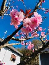 Ferienwohnung Rabenlay