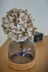 ADESSO Ferienwohnung