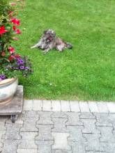 Ferienwohnung Mitten in der Natur