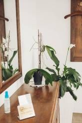 Ferienwohnung Kaufmann