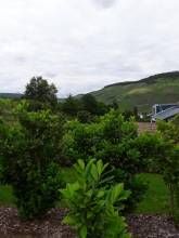 Ferienwohnung Kaufmann