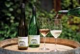 Wein