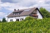 Ferienweingut Bollig