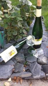 Ferienweingut Bollig