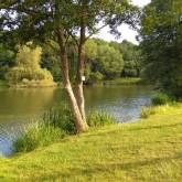 Campingplatz Hauserbachsee