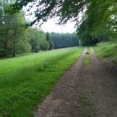 Campingplatz Hauserbachsee