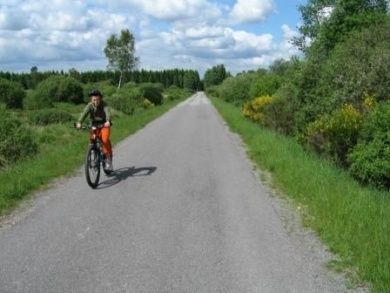 Ferienwohnung Küpper - Urlaub zwischen Nationalpark Eifel und dem Naturpark Hohes Venn
