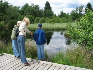Ferienwohnung Küpper - Urlaub zwischen Nationalpark Eifel und dem Naturpark Hohes Venn