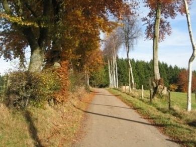 Ferienwohnung Küpper - Urlaub zwischen Nationalpark Eifel und dem Naturpark Hohes Venn