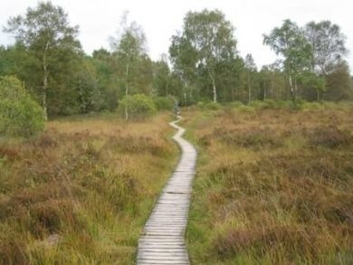 Ferienwohnung Küpper - Urlaub zwischen Nationalpark Eifel und dem Naturpark Hohes Venn