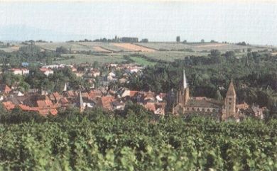 Maison Jülg
