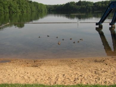 Postweiher - Westerwälder Seenplatte