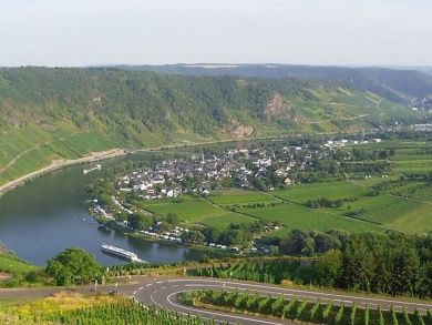 Ferien-Weingut Kirch - Mosel-Urlaub in Ediger-Eller -  noch freie Wochenenden