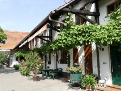 Weingut und Ferienwohnungen Grün im Leiningerland