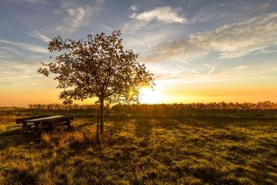 Vinotel Weinstrasse
