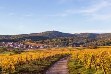Vinotel Weinstrasse