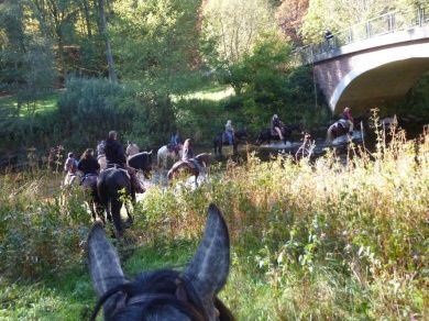  River Ranch, Urlaub für Erwachsene & Jugendliche ab 10 Jahre.