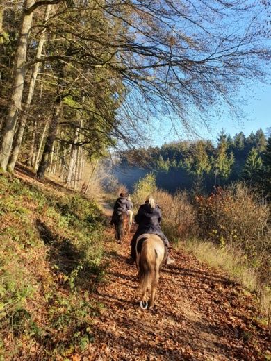  River Ranch, Urlaub für Erwachsene & Jugendliche ab 10 Jahre.