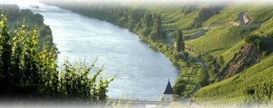 Ferienwohnung Weingut Thielen-Nilles