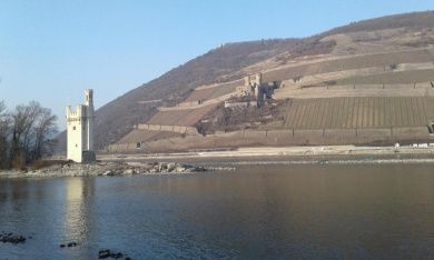 Ferienwohnung Batek am Rhein