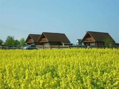 Herzlich Willkommen auf dem Pyrmonter Hof